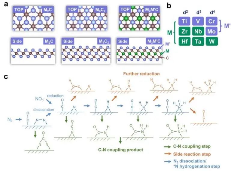 喬世璋/焦研JACS：理論計算+機器學習，揭示Mxene上C-N電偶聯反應的活性和選擇性路線