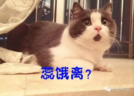 What？！論文被退稿，因為圖像分辨率太高！