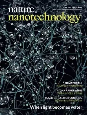 整天關注SCI，那你知道前20名的期刊長啥樣子嗎?
