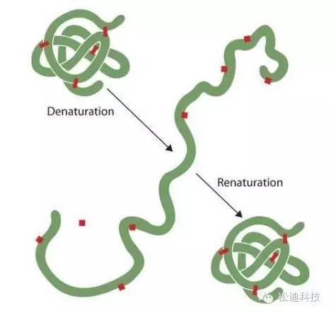 會玩！“搞笑諾貝爾獎”中那些逗逼科學家