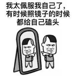 【技能】高效撰寫論文之Word中快速給批量圖片插入編號