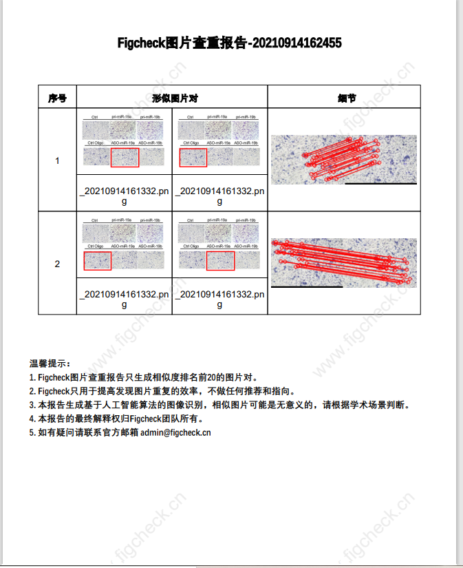 一鍵SCI圖片查重，還永久免費！“論文工廠”沒活路了！