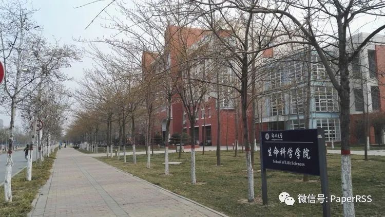 48門課滿績點，鄭州大學“超強”女學霸一口氣拿下清華、北大等數十個offer！