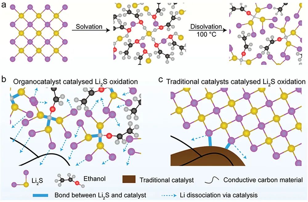 【計算+實驗】8篇頂刊速遞：Nature子刊、JACS、AEM、AFM、ACS Catalysis等！