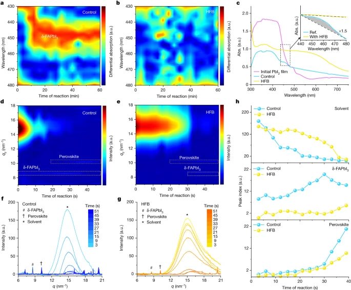 北京大學周歡萍，最新Nature！