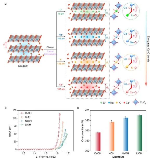 催化頂刊集錦：JACS、Nature子刊、Angew、ACS Catalysis、Adv. Sci.等成果