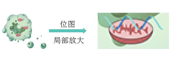 【制圖干貨】給SCI論文配圖時，矢量圖和位圖有什么區別？