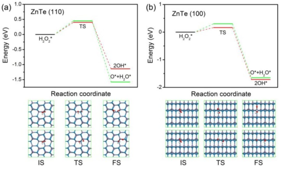 【計算論文深度解讀】密度泛函研究硫族化鋅上H2O2的高效解離和形成機制