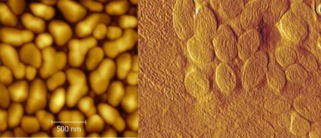 【動圖秒懂】四大顯微設(shè)備SEM、TEM、AFM、STM工作原理