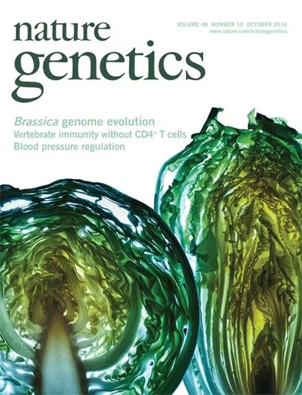 Nature/Science的圖“逼格”那么高，是有科學(xué)道理的！