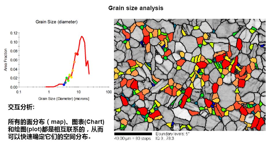 秒懂干貨丨EBSD的工作原理、結構、操作及分析