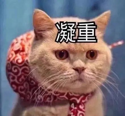 我遭遇讀博延期，女友已評上副教授，還順便當了我的“第二導師”