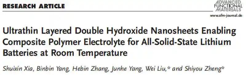 鄭時有/劉巍AFM：超薄層狀雙氫氧化物納米片助力室溫聚合物電解質電池