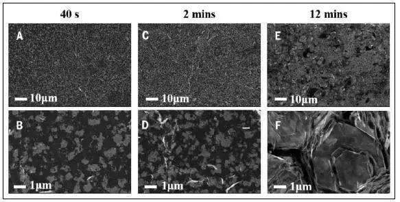 博三一作發Science的他：大三就有12篇一作SCI 系上交畢業生