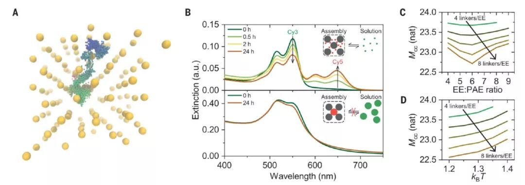 Science：類似于金屬中經典電子云圖像，分子動力學模擬助力揭示膠體晶體自組裝規律