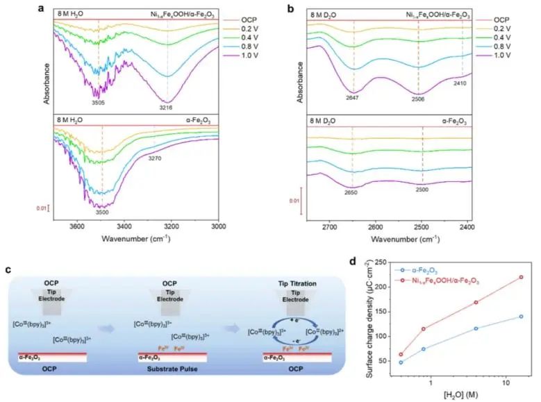 催化頂刊集錦：JACS、Nature子刊、Angew、ACS Catalysis、Adv. Sci.等成果