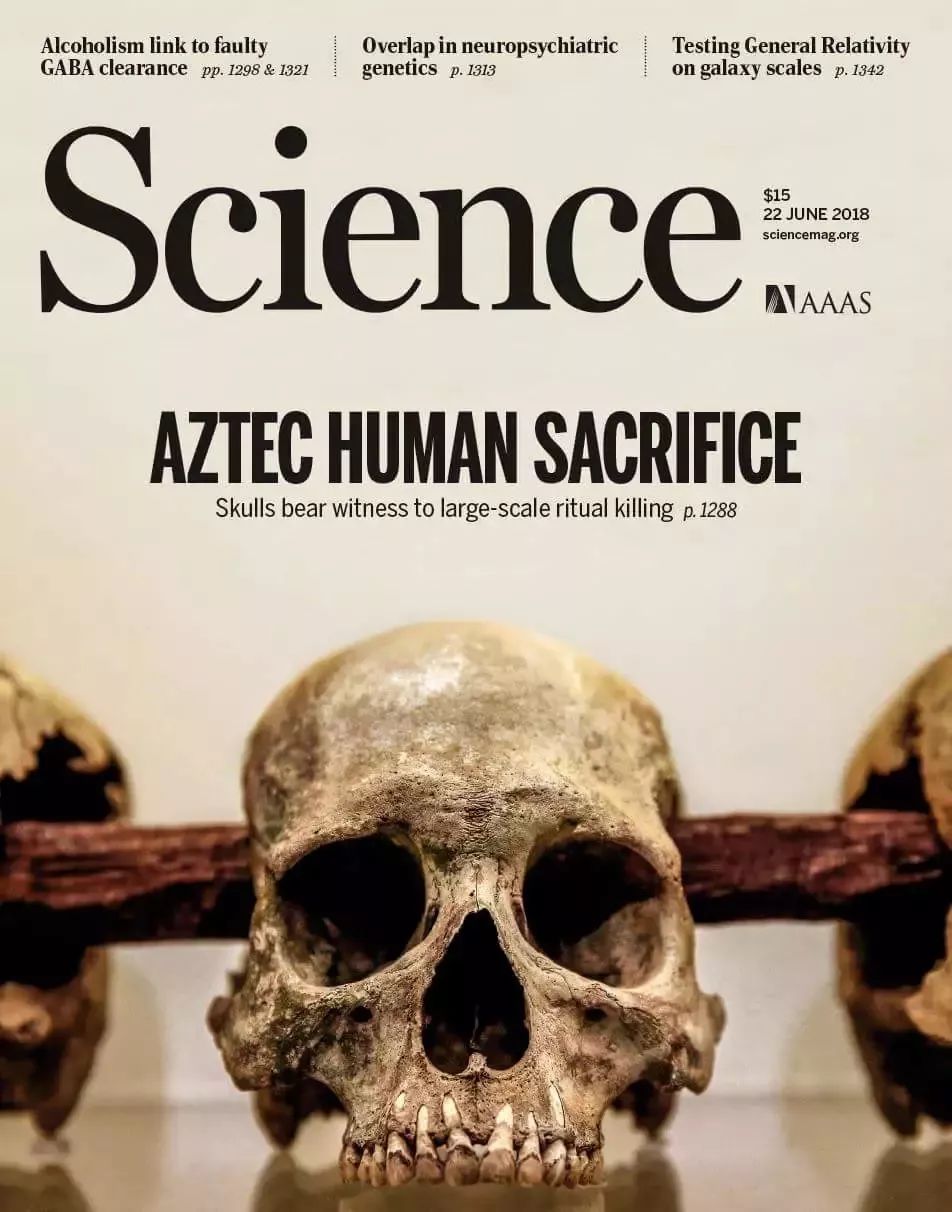 整天關注SCI，那你知道前20名的期刊長啥樣子嗎?