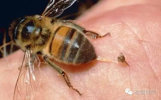 會玩！“搞笑諾貝爾獎”中那些逗逼科學家
