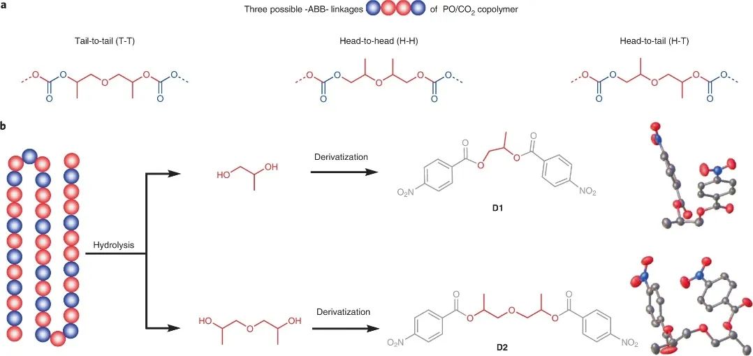 浙大伍廣朋團隊，最新Nature Synthesis！