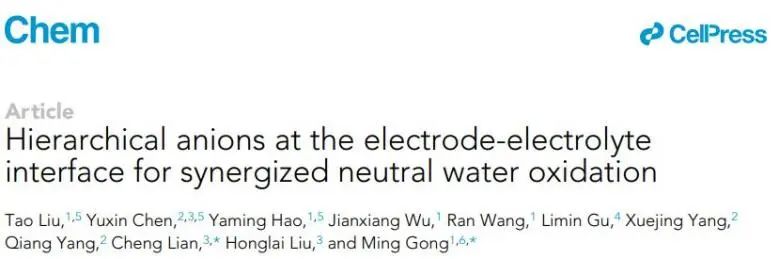 復旦/華理Chem: 電極-電解質界面的分級陰離子實現協同催化中性水氧化