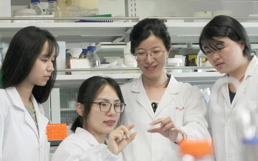 門下5位博士人手一篇Science！浙大教授再度入選院士增選名單