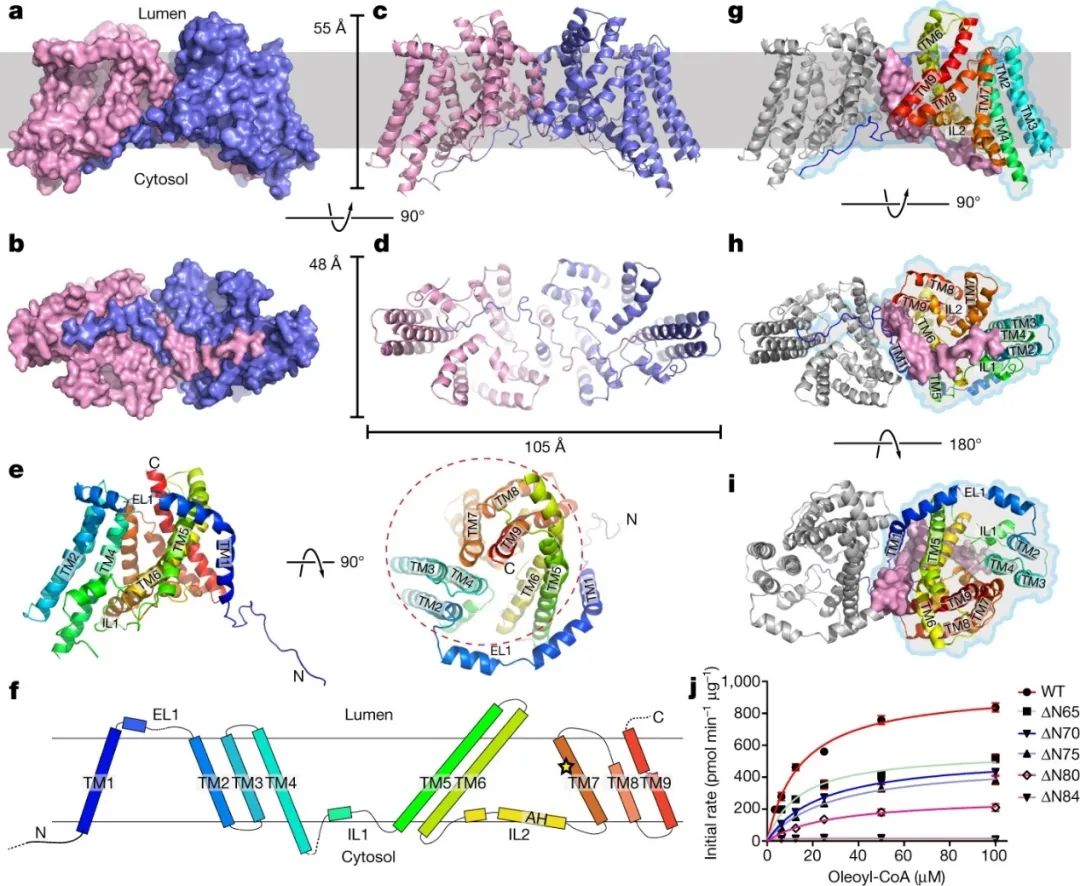 霸氣，繼Science背靠背，顏寧又兩篇Nature背靠背，爭取Cell背靠背……