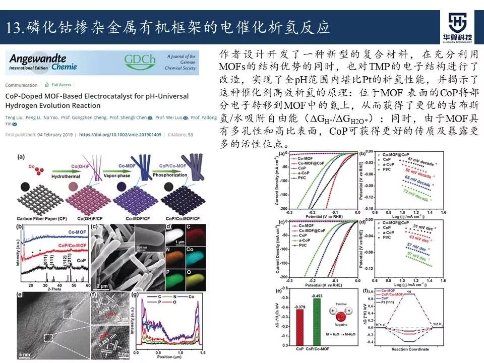 科研這杯酒，誰喝都得醉！2019年電催化領域高被引工作，先干為敬！