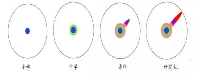 杰青、長江學者、復旦教授彭慧勝談:研究生階段你該如何規劃？
