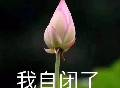 論發SCI論文和生孩子的共同點：那我肯定是懷了個哪吒！