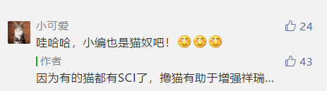 講一個鬼故事，你看到的論文作者不一定都是人