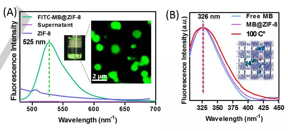 中山大學Angew. 玩轉MOFs，快速高效封裝酶和蛋白質