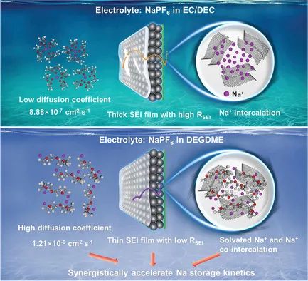 北理吳川/白瑩AM: 闡明硬碳負極在醚類電解液中快速儲鈉動力學的機制