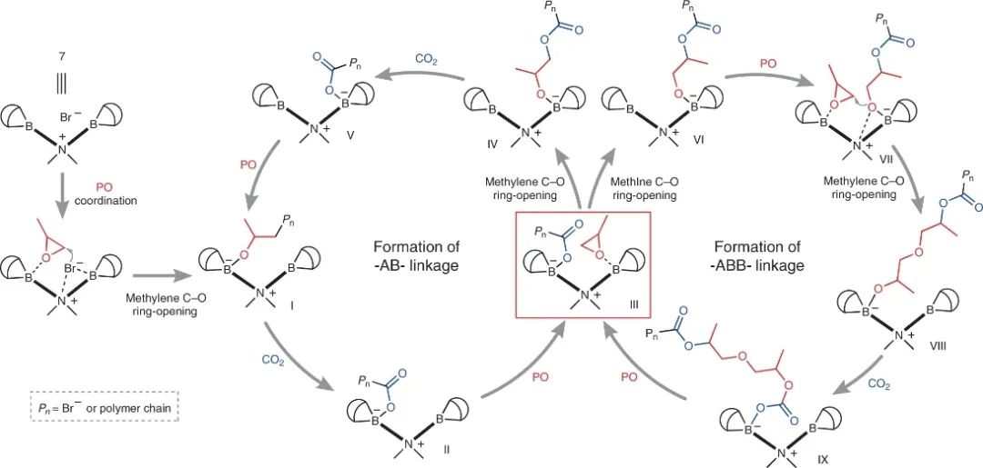 浙大伍廣朋團隊，最新Nature Synthesis！