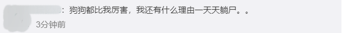 狗狗獲博士學位，貓貓擁有 SCI..