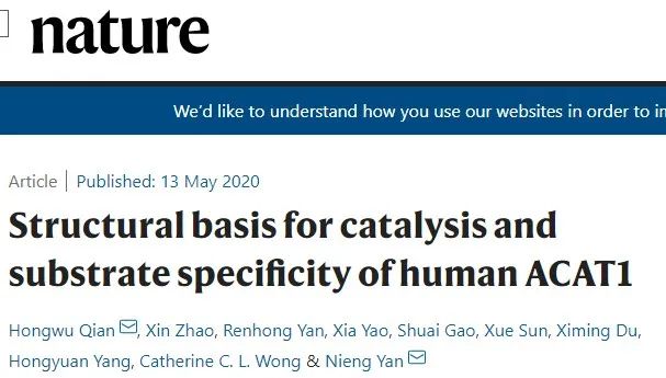 霸氣，繼Science背靠背，顏寧又兩篇Nature背靠背，爭取Cell背靠背……