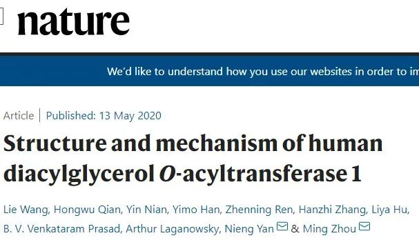 霸氣，繼Science背靠背，顏寧又兩篇Nature背靠背，爭取Cell背靠背……