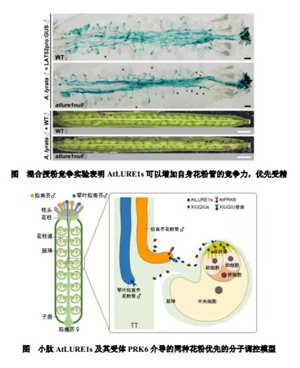 全是頂刊！2019年度中國高等學校十大科技進展