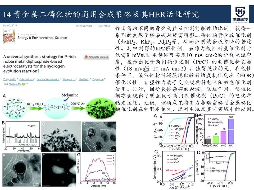 科研這杯酒，誰喝都得醉！2019年電催化領域高被引工作，先干為敬！