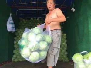 靈魂拷問！為什么PNAS的圖畫得往往沒有Nature、Science精致？