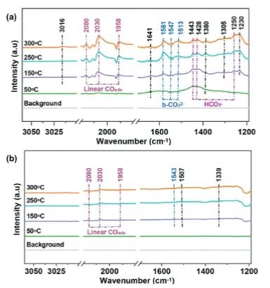 ?賈宏鵬/陳儆Adv. Sci.：構(gòu)建富氧空位Ni基催化劑，實(shí)現(xiàn)光熱催化CO2甲烷化和儲(chǔ)氫