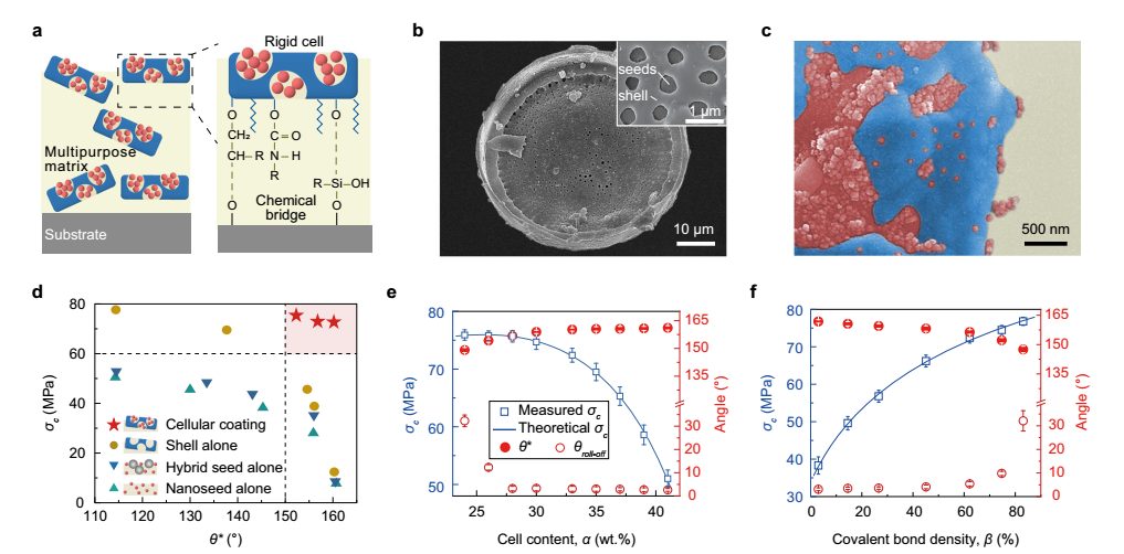 刷新記錄，史上最強(qiáng)！四單位強(qiáng)強(qiáng)聯(lián)合，登上Nature子刊！