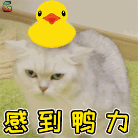 讀博費錢，作為一個窮博士生，你如何解決經(jīng)濟壓力？