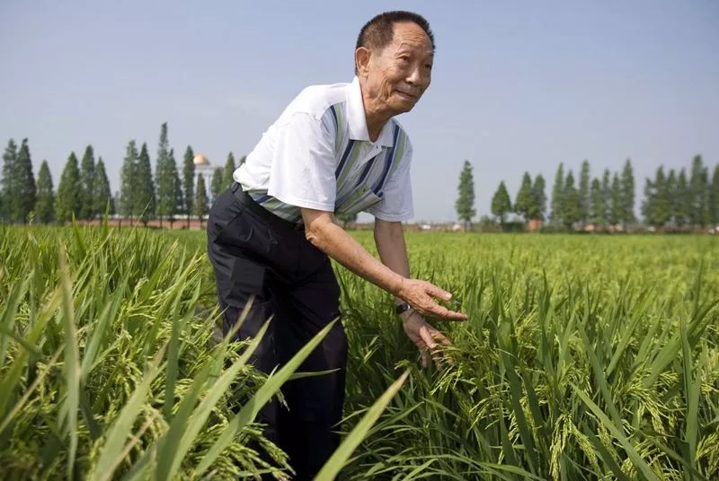 Nature國慶特別評論—點贊中國：科學如何成就超級大國