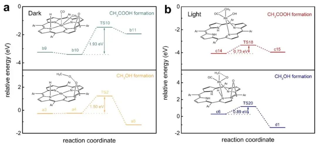 【計算+實驗】8篇頂刊速遞：Nature子刊、JACS、AEM、AFM、ACS Catalysis等！