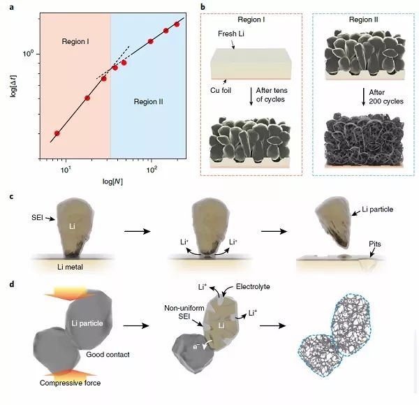 “300 Wh/kg、200圈長循環” Nature Energy報道金屬鋰軟包電池重大突破