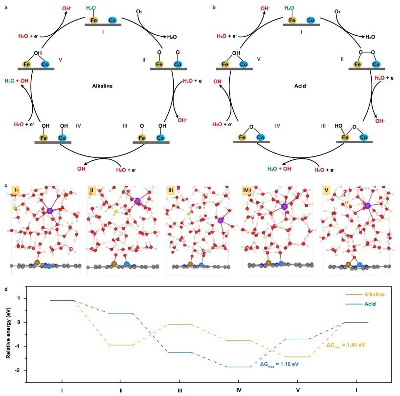 陳勝利/吳宇恩Nature子刊：雙層微環境在M-N-C催化劑的pH依賴性ORR活性中的作用