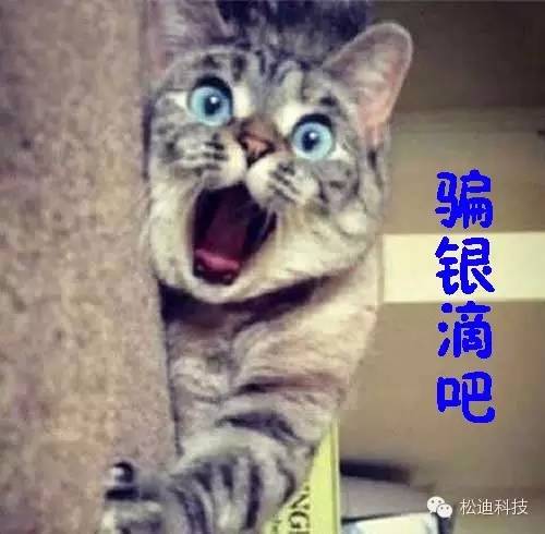 What？！論文被退稿，因為圖像分辨率太高！