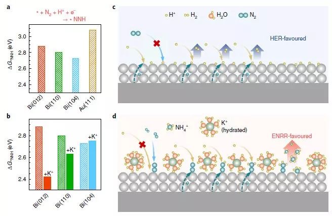 【頂刊】Nature Catalysis：鉍催化劑和K+協同提高電化學氮還原反應選擇性和活性