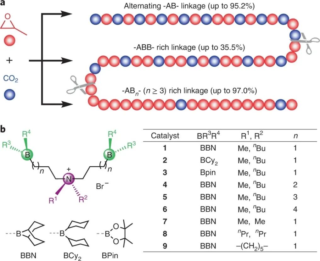 浙大伍廣朋團隊，最新Nature Synthesis！