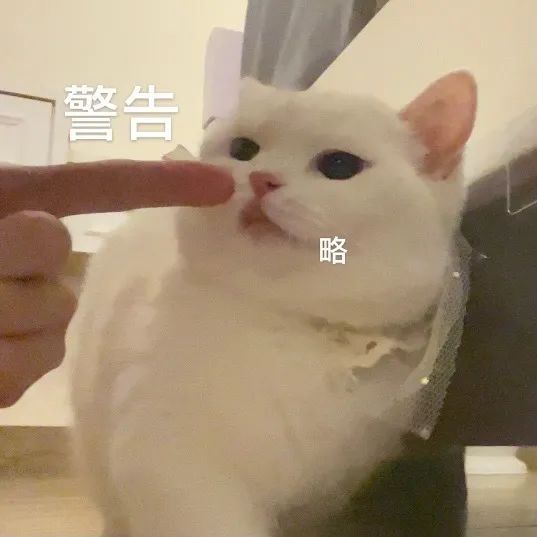 導師：我不會拖延研究生正常畢業(yè)